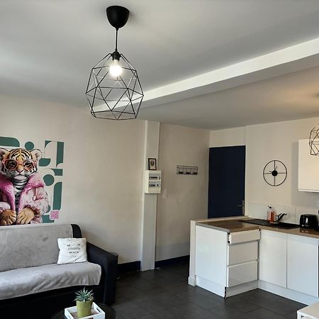 Spacieux, Climatise, Quartier Calme, Proche Chateau, Le Cocon De Joy Каркасон Екстериор снимка